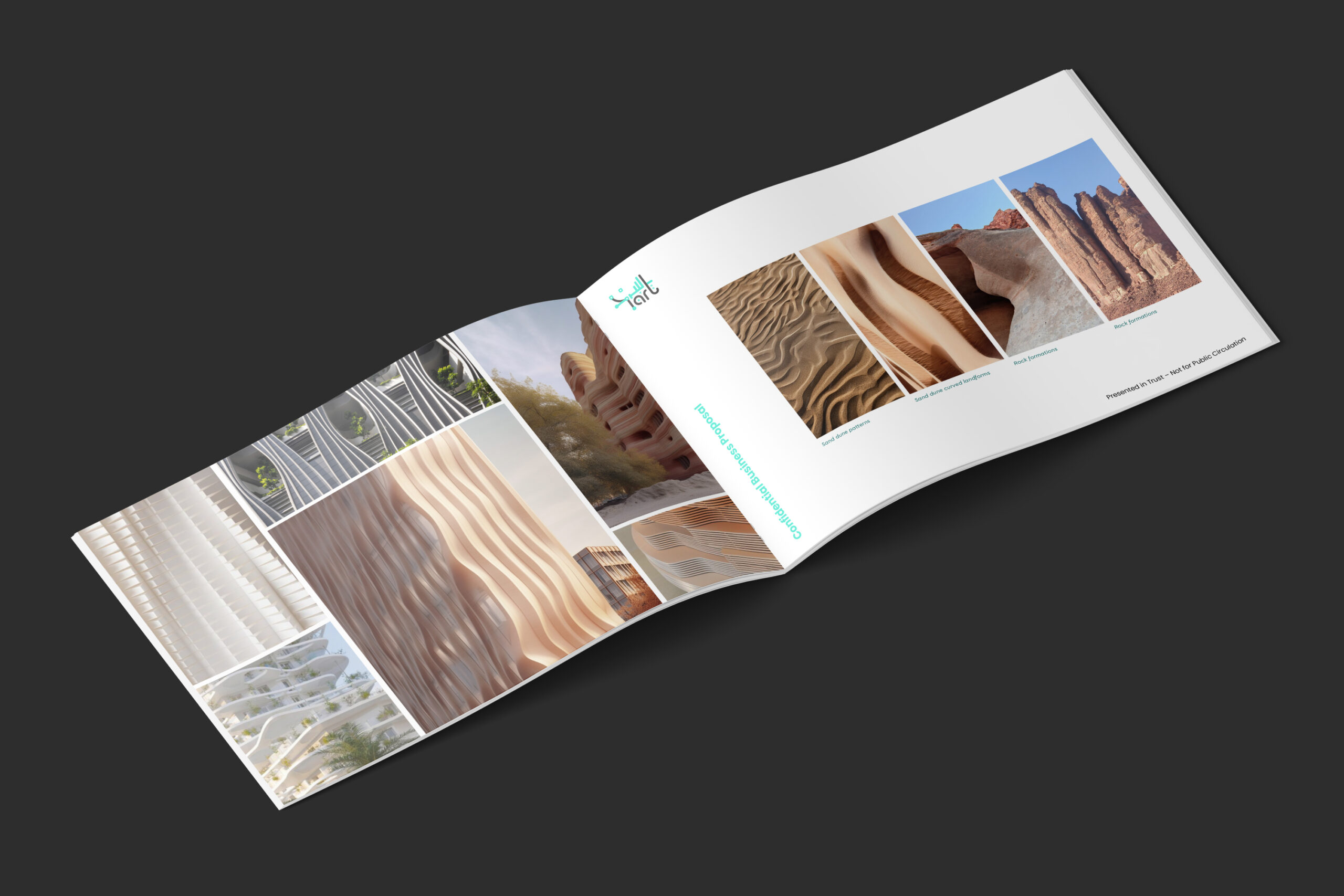 Corporate Confidential Project